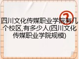 四川文化传媒职业学院有几个校区,有多少人(四川文化传媒职业学院规模)