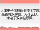 天津电子信息职业技术学院是否有双学位，为什么(天津电子双学位原因)