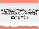 合肥职业技术学院一年奖学金最多能拿多少(合肥职院最高奖学金)