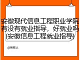 安徽现代信息工程职业学院有没有就业指导，好就业吗(安徽信息工程就业指导)