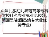 西昌民族幼儿师范高等专科学校什么专业就业比较好，原因是啥(西昌幼专就业优势专业)