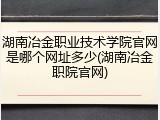 湖南冶金职业技术学院官网是哪个网址多少(湖南冶金职院官网)