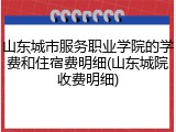 山东城市服务职业学院的学费和住宿费明细(山东城院收费明细)