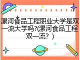 漯河食品工程职业大学是双一流大学吗?(漯河食品工程双一流？)