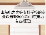 山东电力高等专科学校的专业设置概况介绍(山东电力专业概览)