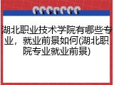 湖北职业技术学院有哪些专业，就业前景如何(湖北职院专业就业前景)