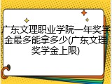 广东文理职业学院一年奖学金最多能拿多少(广东文理奖学金上限)