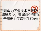 贵州电力职业技术学院招生编码多少，隶属哪个部门(贵州电力学院招生代码)