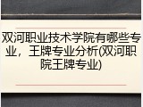 双河职业技术学院有哪些专业，王牌专业分析(双河职院王牌专业)