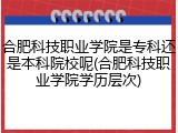 合肥科技职业学院是专科还是本科院校呢(合肥科技职业学院学历层次)