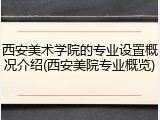 西安美术学院的专业设置概况介绍(西安美院专业概览)