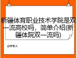 新疆体育职业技术学院是双一流高校吗，简单介绍(新疆体院双一流吗)