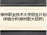 柳州职业技术大学招生计划详细分析(柳州职大招析)