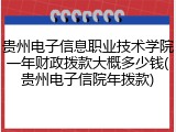 贵州电子信息职业技术学院一年财政拨款大概多少钱(贵州电子信院年拨款)