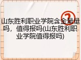 山东胜利职业学院含金量量吗，值得报吗(山东胜利职业学院值得报吗)