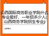 山西国际商务职业学院什么专业最好，一年招多少人(山西商务学院招生专业)