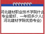 河北建材职业技术学院什么专业最好，一年招多少人(河北建材学院优势专业)
