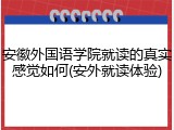安徽外国语学院就读的真实感觉如何(安外就读体验)