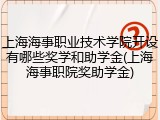 上海海事职业技术学院开设有哪些奖学和助学金(上海海事职院奖助学金)