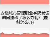安徽城市管理职业学院就读期间挂科了怎么办呢？(挂科怎么办)