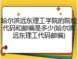 哈尔滨远东理工学院的院校代码和邮编是多少(哈尔滨远东理工代码邮编)