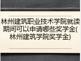 林州建筑职业技术学院就读期间可以申请哪些奖学金(林州建筑学院奖学金)