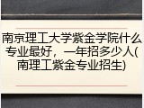 南京理工大学紫金学院什么专业最好，一年招多少人(南理工紫金专业招生)