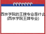 西京学院的王牌专业是什么(西京学院王牌专业)