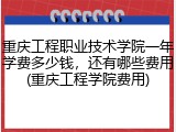 重庆工程职业技术学院一年学费多少钱，还有哪些费用(重庆工程学院费用)