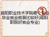 咸阳职业技术学院哪个专业毕业就业前景比较好(咸阳职院好就业专业)