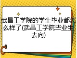 武昌工学院的学生毕业都怎么样了(武昌工学院毕业生去向)