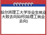 哈尔滨理工大学毕业生就业大致去向如何(哈理工就业去向)