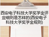西安电子科技大学奖学金评定细则是怎样的(西安电子科技大学奖学金规则)