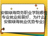 安徽绿海商务职业学院哪些专业就业前景好，为什么(安徽绿海就业优势专业)