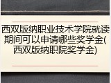 西双版纳职业技术学院就读期间可以申请哪些奖学金(西双版纳职院奖学金)
