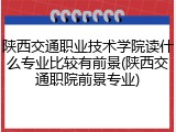 陕西交通职业技术学院读什么专业比较有前景(陕西交通职院前景专业)