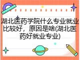湖北医药学院什么专业就业比较好，原因是啥(湖北医药好就业专业)