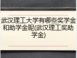武汉理工大学有哪些奖学金和助学金呢(武汉理工奖助学金)