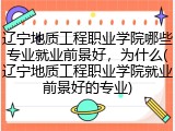 辽宁地质工程职业学院哪些专业就业前景好，为什么(辽宁地质工程职业学院就业前景好的专业)