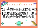 民办合肥经济技术职业学院什么专业就业比较好，原因是啥(合经院好就业专业)