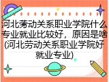河北劳动关系职业学院什么专业就业比较好，原因是啥(河北劳动关系职业学院好就业专业)