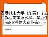 香港城市大学（东莞）毕业后就业前景怎么样，毕业生去向(港莞大就业去向)