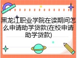 黑龙江职业学院在读期间怎么申请助学贷款(在校申请助学贷款)