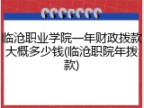 临沧职业学院一年财政拨款大概多少钱(临沧职院年拨款)