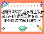 湖南外国语职业学院主攻什么方向有哪些王牌专业(湖南外国语学院王牌专业)
