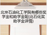 北京石油化工学院有哪些奖学金和助学金呢(北石化奖助学金详情)