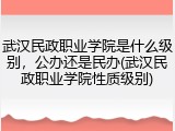 武汉民政职业学院是什么级别，公办还是民办(武汉民政职业学院性质级别)