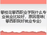 攀枝花攀西职业学院什么专业就业比较好，原因是啥(攀西职院好就业专业)