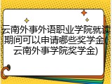 云南外事外语职业学院就读期间可以申请哪些奖学金(云南外事学院奖学金)