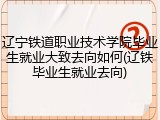 辽宁铁道职业技术学院毕业生就业大致去向如何(辽铁毕业生就业去向)